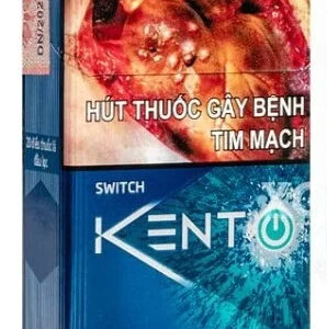Vietnamese Kent Switch health reference on CigWiki