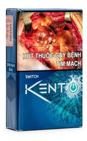 Vietnamese Kent Switch health reference on CigWiki